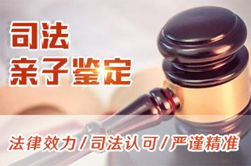 商丘司法DNA鉴定的流程,商丘司法亲子鉴定怎么做